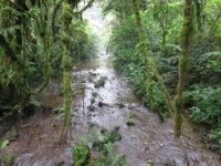 Buhoma Bwindi