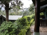 Bwindi View Bandas Buhoma