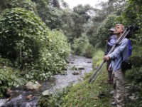Buhoma Bwindi