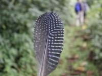 Buhoma Bwindi