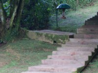 Buhoma Bwindi