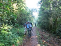 Buhoma Bwindi
