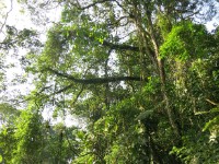 Buhoma Bwindi