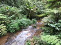 Buhoma Bwindi