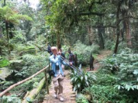 Buhoma Bwindi