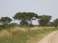 Queen Elizabeth National Park
