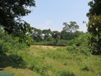 Queen Elizabeth National Park border to D.R. of the Congo