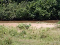 Queen Elizabeth National Park border to D.R. of the Congo