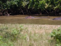 Queen Elizabeth National Park border to D.R. of the Congo