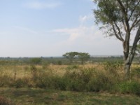 Queen Elizabeth National Park