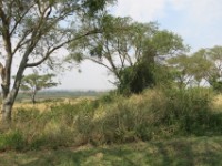 Queen Elizabeth National Park