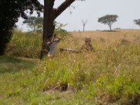 Queen Elizabeth National Park