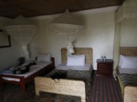 Buffalo Safari Resort