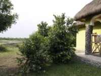 Buffalo Safari Resort