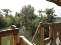 Buffalo Safari Resort