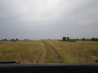 Queen Elizabeth National Park