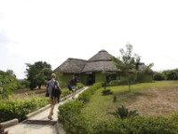 Buffalo Safari Resort