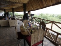 Buffalo Safari Resort