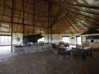 Buffalo Safari Resort