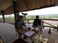 Buffalo Safari Resort