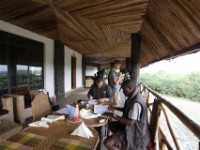 Buffalo Safari Resort