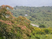 En route Fort Portal to Bundibugyo