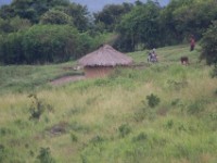 En route Bundibugyo to Fort Portal
