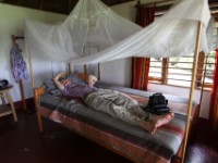 Chimpanzee Forest Guesthouse