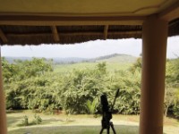 Chimpanzee Forest Guesthouse