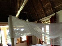Chimpanzee Forest Guesthouse