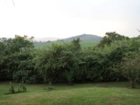 Chimpanzee Forest Guesthouse