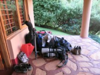 Chimpanzee Forest Guesthouse