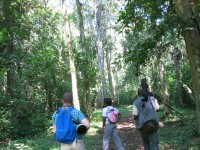 Mpanga Forest
