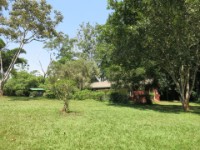Mpanga Forest Camp