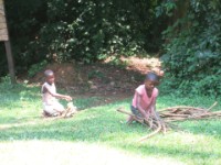 Mpanga Forest Camp