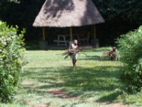 Mpanga Forest Camp