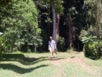 Mpanga Forest Camp