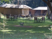 Entebbe Botanical Garden