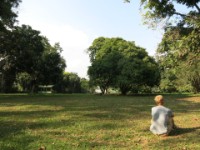 Entebbe Botanical Garden